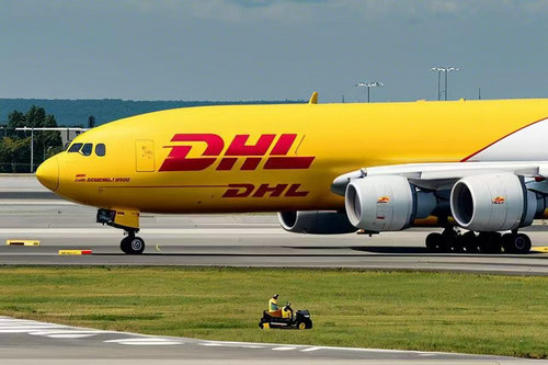 北京DHL國(guó)際快遞可以郵寄寵物嗎